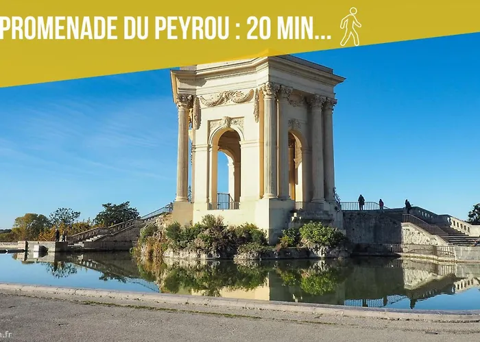 Amja Proche Clinique Saint-Roch Apt 3 Chambres 3 Salles De Bain Parking Gratuit Ideal Famille Groupe Coworking 10 Min Centre Ville 10 Min Plage 5 Min Sortie Autoroute