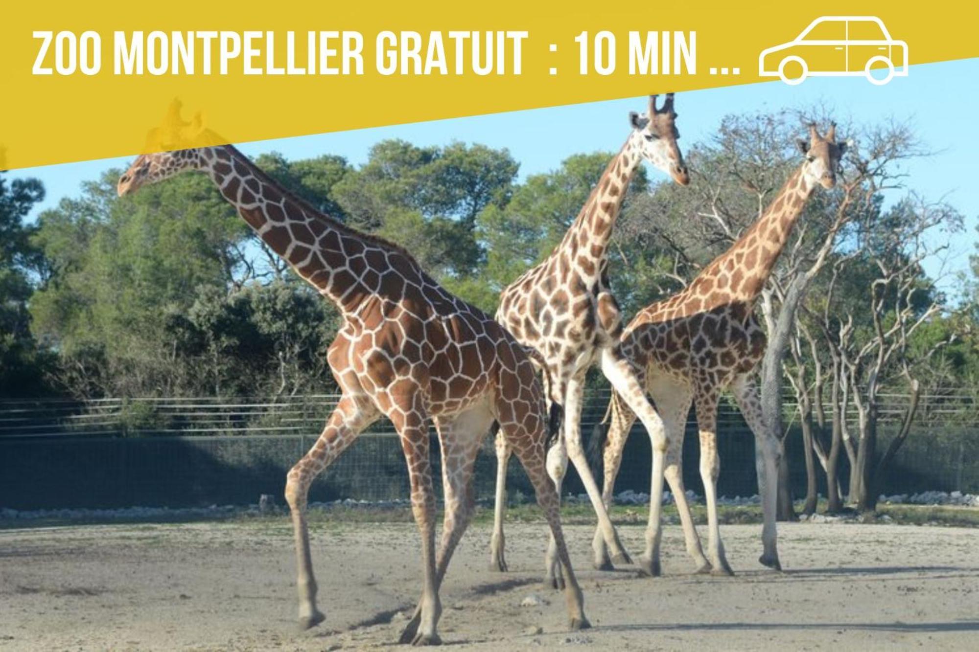 Amja Proche Clinique Saint-roch 3 3 Salles De Bain Parking Gratuit Ideal Famille Groupe Coworking 10 Min Centre 10 Min 5 Min Sortie Autoroute Apartment *