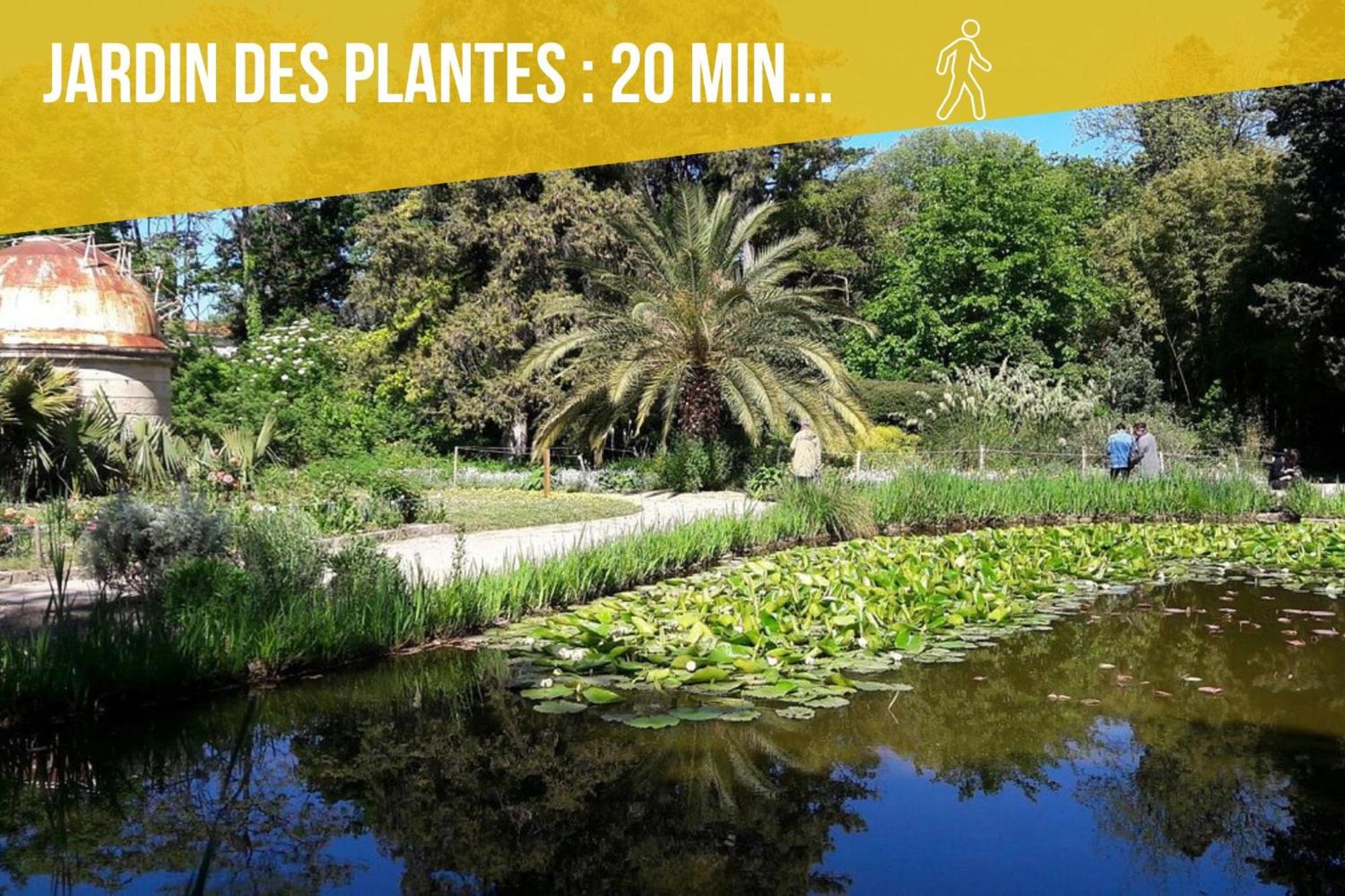 Amja Saint-roch: Spacious Family With Parking Apartment